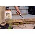 thumbnail image 4 of Roundup Advanced Pump ‘n Go Prêt-à-l’emploi 5L, 4 of 6