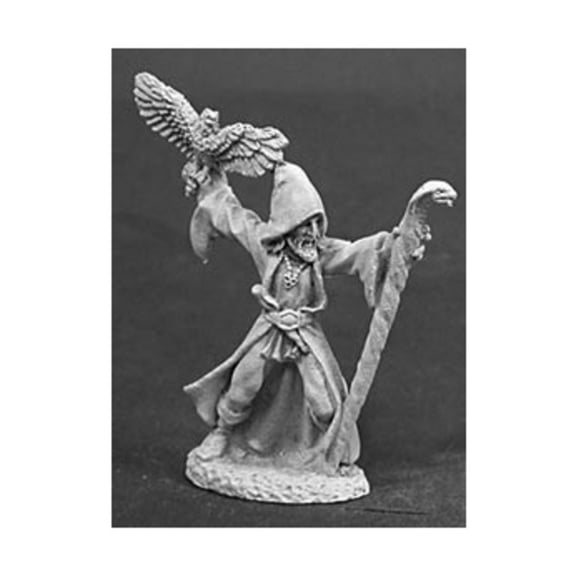 Reaper Miniatures Darbin the Deadly - Male Wizard w/Staff & Hawk New