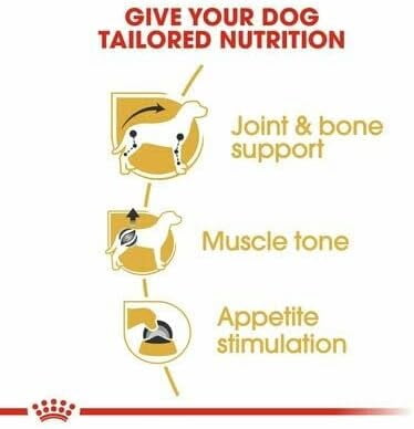Royal Canin Dachshund Dog Wet Food 12x85g