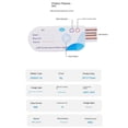 thumbnail image 2 of Registrador de Datos Temperatura USB 14400 Puntos Informe 60 DíAs Grabador Desechable IP65, 2 of 5