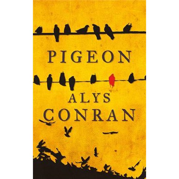 Pre-Owned Pigeon (Paperback)