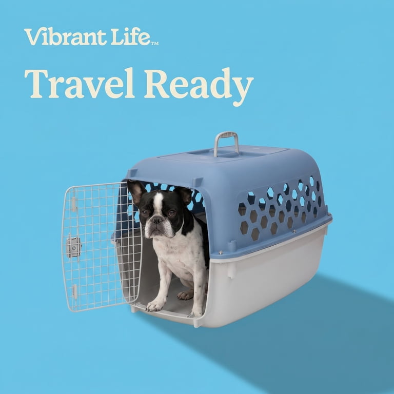 Vibrant Life 24-inch Multicolored Plastic Double Door Dog and Cat