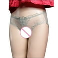 thumbnail image 2 of TMOYZQ Women's Crotchless Panties Embroidery Sheer Mesh See Through Briefs Bikini Panties Stretch Breathable Underpants Cheeky Underwear Naughty Lingerie, 2 of 6