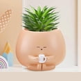 thumbnail image 5 of Plant Pots Guozer Pots for Plants 1PCS Indoor Planters Small Plant Pots Tabletop Decoration Ornament Flower Pots for Indoor Plants, 5 of 6