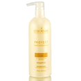 thumbnail image 1 of Color Safe Organics Proteja Ultimate Protección de Color Shampú, 1 of 2