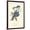 Brown Frame, variant on Art.com Audubon Blue Jays Art Print by John James Audubon, White Frame Wall Art, 21" x 29"