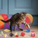 thumbnail image 3 of Cat toys, 24 pieces cat toy, set with cat tunnel, fish, mouse, feather, ball kitten toy, interactive cat toy, 3 of 5