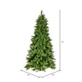 thumbnail image 3 of Vickerman 12' x 73" Brighton Pine Artificial Christmas Tree, Unlit, 3 of 6