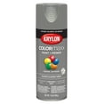 COLORmaxx Primer and Spray Paint for Indoor/Outdoor, Classic Gray Gloss
