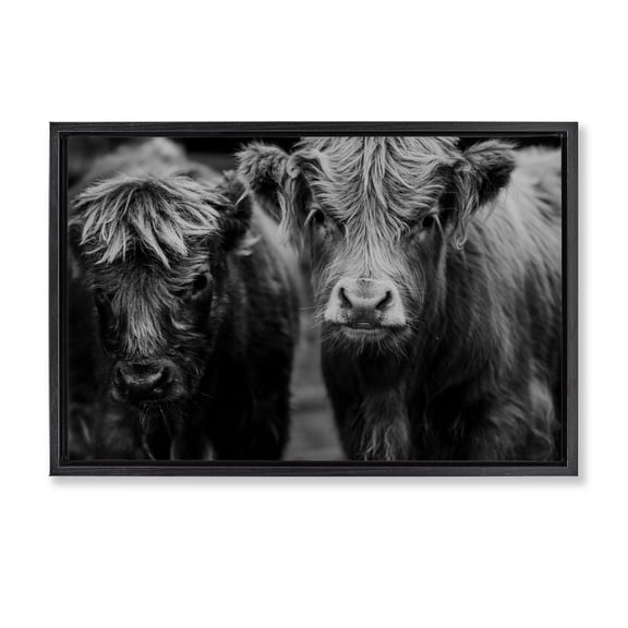 Cow Faces on Farm Black Framed Floater Canvas Wall Art, design by Amy Carroll