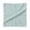 A34 Green 9.8"x9.8", variant on Kitchen Cloths For Everyday Cleaning | Soft Absorbent Dish Cloths For Wiping Dishes And Microfiber Kitchen Towels For Home Restaurant And Gourmet Prep Kitchen Cleaning Supplies