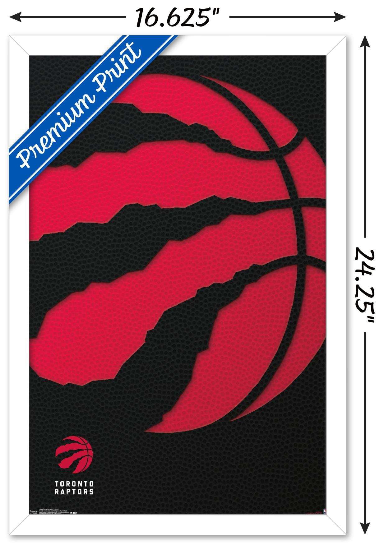 NBA Toronto Raptors - Logo 18 Wall Poster, 14.725" x 22.375", Framed