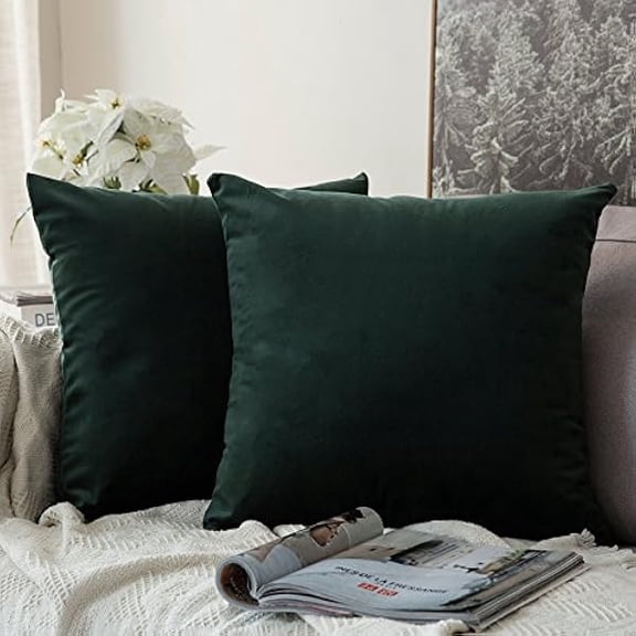 Eryueer Velvet Cushion Covers Throw Pillow Case Soft Modern Decorative Square Luxury Pillowcases for Livingroom Sofa Bedroom with Invisible Zipper Set of 2 35cmx35cm,14x14 Inches Dark Green