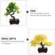 thumbnail image 3 of QUMIIRITY 2Ud Simulación Bonsái Plantas Artificiales Para De Oficina Y Hogar, 3 of 6