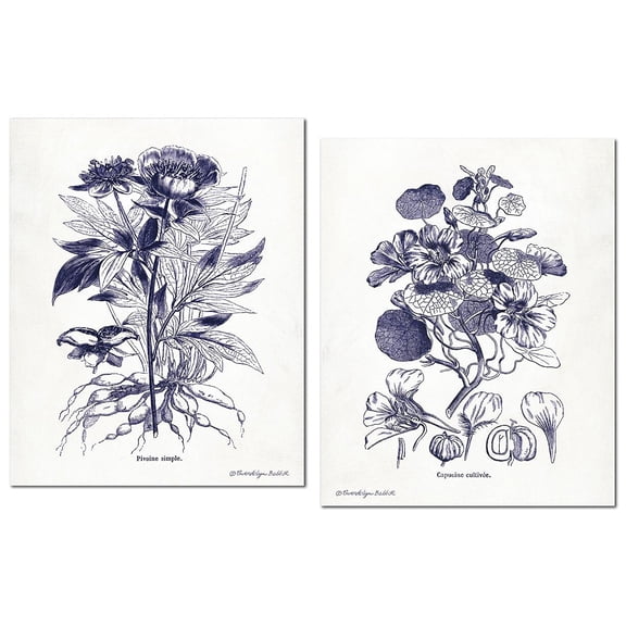 Lovely Old-Fashioned Indigo Plant Botanical Prints; Two 11x14in Paper Poster Prints