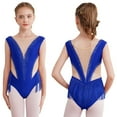 thumbnail image 2 of Aislor Kids Girls Shiny Ballet Latin Dance Leotards Bodysuit Tassel Sheer Mesh Skating Dress Performance Costume Royal Blue 14, 2 of 7