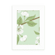 thumbnail image 1 of Marco de Fotos Unbranded Dibujo de durazno Blanco flor planta 5x7 pulgadas, 1 of 4
