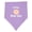 Lavender and Pink, variant on Inktastic Future Water Skier Baby Bandana Bib
