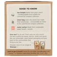 thumbnail image 4 of Teapigs - Cold Brew Tea Infusions, 10 Bags | Assorted Flavors, 4 of 6