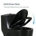 thumbnail image 6 of One Piece Elongated Toilet for Bathroom, Soft Closing Seat Include, High Efficiency 1.28 GPF, 12'' Rough-In, Matte Black, 6 of 8