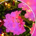 thumbnail image 1 of Decoración del hogar, decoración de habitaciones, iluminación de jardín, iluminación paisajística, luces de combinación que cambian de color, luces solares inalámbricas de estaca para jardín, cercas,, 1 of 7