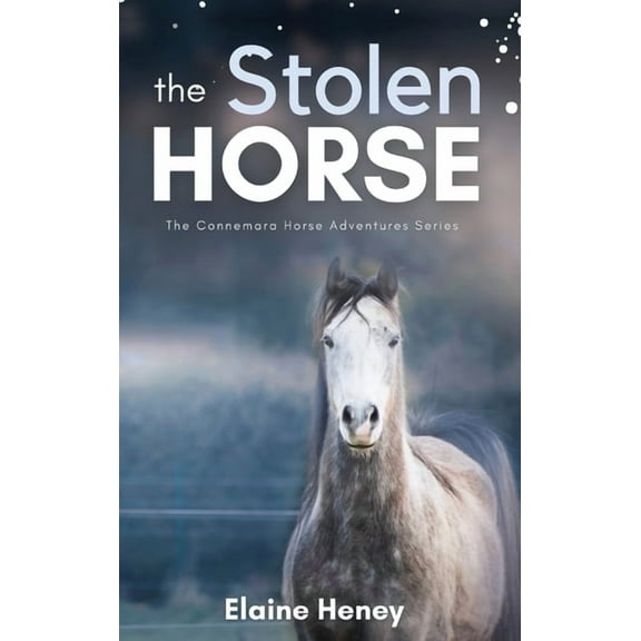 Connemara Pony Adventures The Stolen Horse - Book 4 in the Connemara Horse Adventure Series for Kids The Perfect Gift for Children, Book 4, (Hardcover)