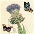 thumbnail image 2 of van Houtte, Louis 26x26 Gold Ornate Wood Framed with Double Matting Museum Art Print Titled - Field Thistle, 2 of 4