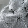 thumbnail image 4 of 120 Pieces Halloween Realistic Plastic Spiders Black Small Spider Toys Fake Spiders Prank Props for Halloween Home and Party Decorations, 4 of 14