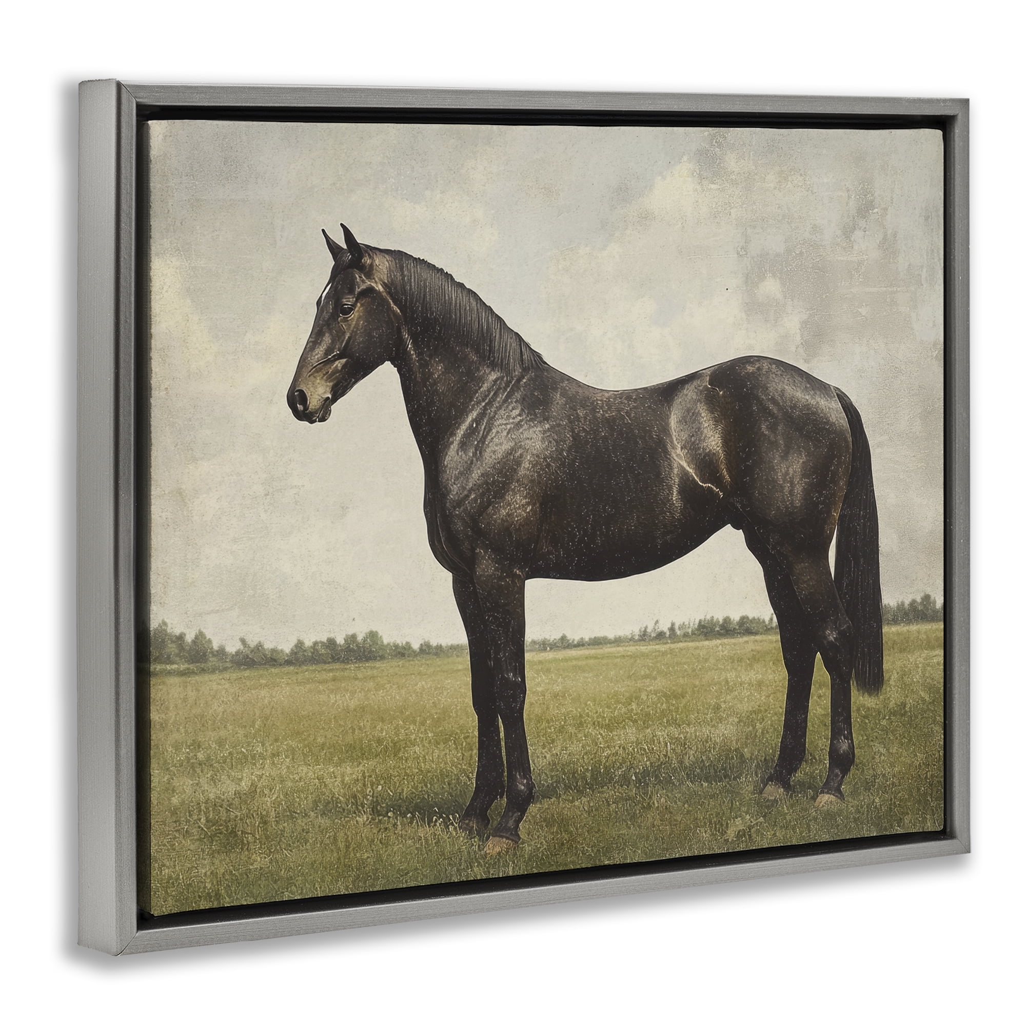 Stupell Industries Espresso Horse Portrait Gray Framed Floater Canvas Wall Art design by Petal Prints Design, 25 x 31