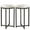 Black/White, variant on AWQM Indoor Contemporary Multifunction Metal Circle End Table, White and Gold (Set of 2)