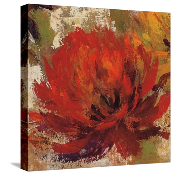 Art.com Fiery Dahlias II Crop Stretched Canvas Print Wall Art by Silvia Vassileva, 16" x 16"