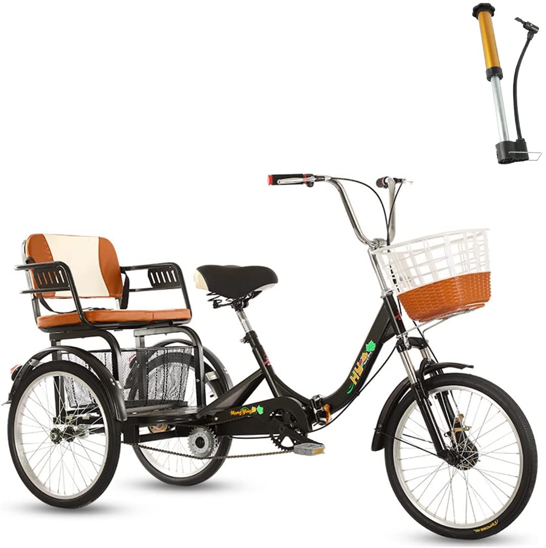 three wheel bicycle built for two