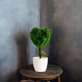 thumbnail image 6 of Artificial Heart Topiary Tree - 10.2 Inch Potted with Green Leaves, Mini Bonsai for Desktop Decor, Shelf Decorations, and Indoor Home Ornamental Displays, 6 of 6