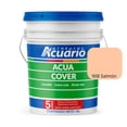 thumbnail image 1 of PINTURA VINILICA ACUA COVER COLOR SALMON MATE ACUARIO CUBETA, 1 of 5
