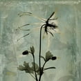 thumbnail image 2 of Koetsier, Albert 26x26 Black Ornate Wood Framed with Double Matting Museum Art Print Titled - Columbine, 2 of 4