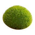 thumbnail image 1 of Roca de artificial Piedra decorativa cubierta de verde Bola de miniatura para bricolaje Artesanía Terrario Florero Relleno Macarena roca de musgo, 1 of 8