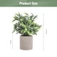 thumbnail image 4 of KAKOWELY 3 piezas de plantas verdes artificiales, pequeñas plantas verdes en macetas, adornos de bonsái., 4 of 5