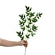 thumbnail image 5 of Plantas Verdes De Plástico Planta artificial de hojas de mariposa, de plástico verde, con forma de hojas de eucalipto "Olivo Paraíso" para decoración del hogar y la oficina (1 pieza). Rkxzt, 5 of 8