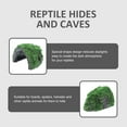 thumbnail image 2 of Miangastore Grotte pour Reptiles en Résine Terrarium Cachette en Résine Grotte pour Reptiles en Résine Décor de Terrarium Cachette pour Reptiles, 2 of 9