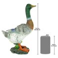 thumbnail image 2 of Design Toscano QM18989 Colvert Canard Animal Statue de Jardin, 13 Pouces, Polyrésine, Couleur, 2 of 6