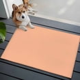 thumbnail image 4 of Peach Fuzz Large Area Rugs for Bedroom Living Room, Soft Non Slip Carpet Bedside Rug, Modern Pure Peach Fuzz Rectangular Floor Cover Kitchen Accent Rug 2'x3' for Dining Room/Office, 4 of 9