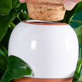 thumbnail image 2 of Bola de riego para plantas con estaca de terracota - Liberación lenta, frasco de 473 ml (16 oz), autoestaca, paquete de 4, 2 of 5