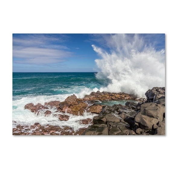 Trademark Fine Art 'Queen's Bath Wave' Canvas Art by Pierre Leclerc