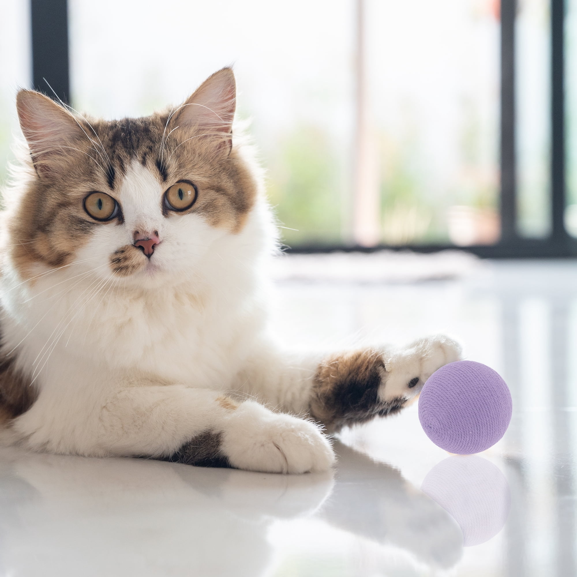 Unique Bargains Playing Ball with Bell for Cat Playtime Purple