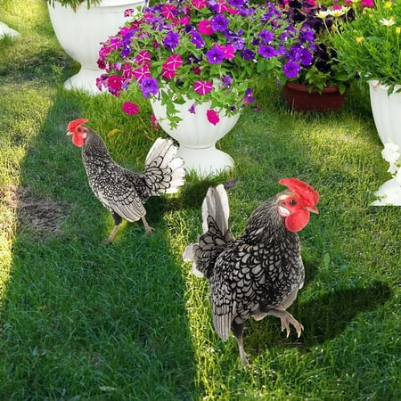 

Giyblacko Card Slot Poultry Decoration Yard Insert Rooster Acrylic Sticker Yard Art Decoration Yard Decoration Acrylic Double Sided Printed Party Cards Animal Garden Decoration