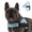 Azure, variant on Dog Friendly Co Chafe Resistant Webbing, Adjustable Neck & Chest, and Heavy Duty D-Ring Dog Harness, Hi-Vis Orange, X-Large