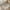 01-Taupe & Cream, variant on VUNATE 6x9 Area Rugs for Living Room Washable Rugs Floral Vintage Area Rug Botanical Indoor Carpet Soft Rugs for Bedroom Office Dining Room Kitchen Accent Rug Contemporary Home Decor Blue