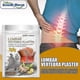 thumbnail image 2 of Ginger Lumbar Patch Relieve Lumbar Pain Body Care Healt, 2 of 5