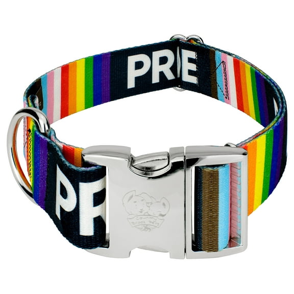 Country Brook Petz® 1 1/2 inch Premium Pride Dog Collar, Large