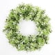 thumbnail image 1 of Plastic wreath, simulation of green plant, large eucalyptus wreath, American door decoration, decoration, 1 of 5